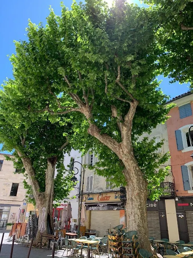 Appartamento Fleurs De Provence LʼIsle-sur-la-Sorgue Francia