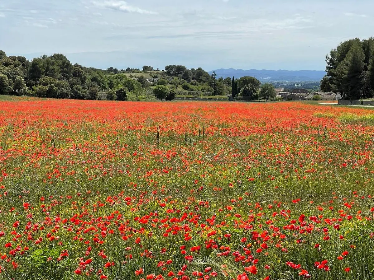Appartamento Fleurs De Provence LʼIsle-sur-la-Sorgue